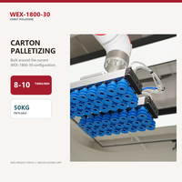 Lengan Robot Cobot Fleksibel 50kg untuk Palletisasi dengan Suction Cup untuk Penanganan Kemasan dan Aliran Material Pabrik