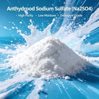 Offre Spéciale Prix Usine Sulfate de Sodium Anhydre Na2SO4 Produit Chimique pour la Fabrication de Savon en Chine
