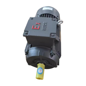 มอเตอร์อินโนโมติกส์ Beide1MT0013 2.2KW~200KW 8 โพล 750 รอบต่อนาที IMB3 ป้องกันฝุ่นและป้องกันการระเบิด มอเตอร์อะซิงโครนัสสามเฟส IP65 IC411 1MT0013 สวัสดี - Product Image 1