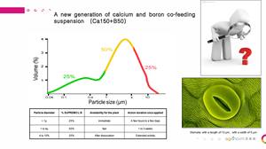 有機カルシウム-ホウ素相乗肥料: 細胞壁を強化し、果物の品質と肥沃度を高める - Product Image 4