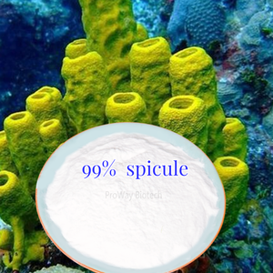 Extrait d'éponge hydrolysée 99% (Spongilla Lacustris) Spicule d'éponge de microneedling <span class=keywords><strong>bio</strong></span> pour les soins de la peau au Canada - Product Image 2