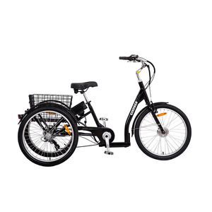 Tricycle électrique pour adultes avec <span class=keywords><strong>moteur</strong></span> <span class=keywords><strong>central</strong></span>, batterie au lithium et commande électronique intelligente - Product Image 2