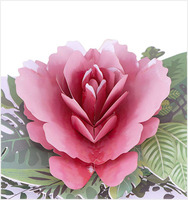 Winpsheng personnalisé gros rose pivoine fleur fête des mères cartes-cadeaux 3d pop up cartes de voeux