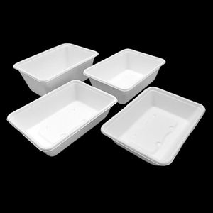 Venta Directa de Fábrica: Cajas Cuadradas Desechables Biodegradables de Bagazo de Caña de Azúcar de 500ML para Comida para Llevar y Picnics - Product Image 1