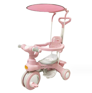 Bambini <span class=keywords><strong>3</strong></span> <span class=keywords><strong>ruote</strong></span> 4 in 1 triciclo per bambini, adatto per bambini 1-6 anni ombra - Product Image 1