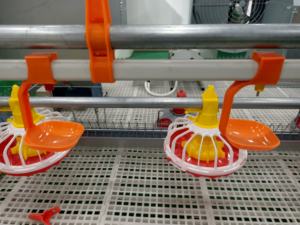 Broiler tavuklar için yeni durum turuncu otomatik su besleme sistemi için dayanıklı plastik hayvan tiryakisi - Product Image 3