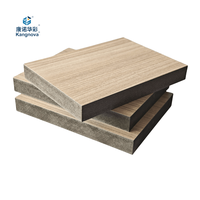 Cloison de toilette coulissante sans cadre Knagnuo 1220x1830mm, panneau compact de 18mm, résistant à l'eau, panneau MDF pour douche