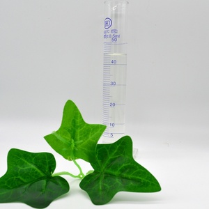 Extracto <span class=keywords><strong>de</strong></span> Frijol Blanco Concentrado Soluble en Agua, Suplemento <span class=keywords><strong>de</strong></span> Extracto <span class=keywords><strong>de</strong></span> Frijol <span class=keywords><strong>Jacinto</strong></span>, 2% <span class=keywords><strong>de</strong></span> Faseolina, Extracto <span class=keywords><strong>de</strong></span> Frijol Blanco en Polvo - Product Image 2