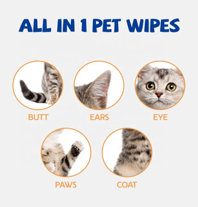 Biodegradável <span class=keywords><strong>Pet</strong></span> <span class=keywords><strong>Wipes</strong></span> for Dogs & Cats Limpeza e Higiene Toalhetes para patas, corpo e bunda, Unscented, 80 Contagem - Product Image 6