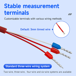 Capteurs de température industriels personnalisés 3 fils 4 fils Thermocouple RTD PT100 - Product Image 4