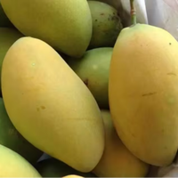 Nieuwe industriële automatische roestvrijstalen mango schil-, kern-, sap- en pulpverwerkingslijn