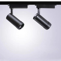 Utilisation optimale de la lumière, zoomable 10x ° -60 °   Projecteur LED sur rail à angle de faisceau réglable, multi-CCT 2700K-6500K, pour exposition en musée