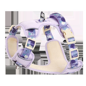 可愛いフルーツ反射ペットハーネス防水ナイロン快適子犬犬用ベスト通気性調整可能ベストスタイルハーネスリーシュセット - Product Image 4