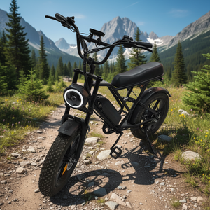 จักรยานไฟฟ้าแบบมอเตอร์กลาง 1500 วัตต์ ล้อโต 20 นิ้ว (รุ่น G60) - สินค้าในสหรัฐอเมริกา 48V 15Ah 7 สปีด - Product Image 3