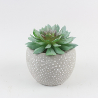 Pot de Plante Succulente Moderne sur Mesure en Ciment pour la Décoration Intérieure – Divers Types de Pots à Bonsaï et Jardinières