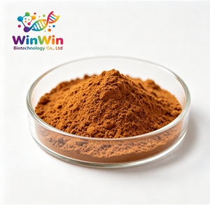 Winwin Supply - Extracto de Champiñones Chanterelle en Polvo, <span class=keywords><strong>Cantharellus</strong></span> <span class=keywords><strong>Cibarius</strong></span> Puro, 10%-50% Polisacáridos - Product Image 1