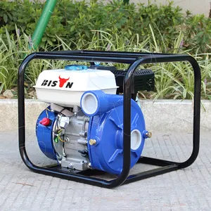 Mini pompe à eau à essence haute pression, BS20I, Portable, maison, 2 pouces, WP20