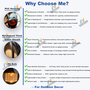 Luci a Stringa LED Impermeabili IP44 Personalizzabili, Lampadine in Plastica Infrangibile, per Esterni, Spina AC, Lunghezza 5m, Garanzia 3 Anni, OEM ODM - Product Image 3