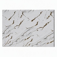 Panneau mural intérieur imperméable haute brillance 1220x2440mm pour la décoration d'hôtel, feuille de marbre PVC UV
