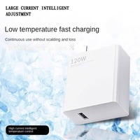 Adaptateur secteur à charge rapide 120W EU/US, câble Type C 6A pour Xiaomi 12 11 Ultra Note 9 10 11 Pro 13 14 Plus USB 33W 67W
