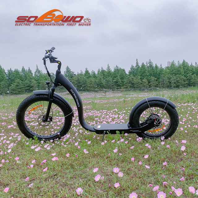Sobowo Electric Bikes New Design 48V 750W Rear Motor Electric Scooter