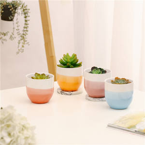 Mini Cactus <span class=keywords><strong>Bonsaï</strong></span> Céramique Succulente Planteur Conception Panachée pour Balcon Décor Décoration de La Maison Miniature Style Minimaliste <span class=keywords><strong>Pot</strong></span> - Product Image 1