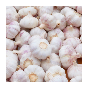 Venta caliente 5cm Buen precio <span class=keywords><strong>Ajo</strong></span> blanco normal Súper <span class=keywords><strong>fresco</strong></span> Púrpura Blanco <span class=keywords><strong>Ajo</strong></span> internacionalmente popular en embalaje de 10kg - Product Image 1