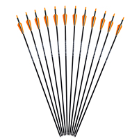 Flèches de tir à l'arc en carbone de 31 pouces, ID 6,2 mm, avec plumes en plastique et pointes en acier pour arcs classiques, chasse et tir, lot de 500 flèches