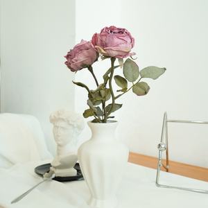 批发天然干玫瑰花束保鲜花，用于家庭室内外装饰 - Product Image 1