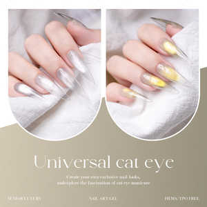 जेटिंग ने अभी लॉन्च किया सार्वभौमिक बिल्ली आंख जेल नाखून पॉलिश 9 रंग सौंदर्यशास्त्र संग्रह हॉट आपूर्तिकर्ता चुंबकीय बिल्ली ओएम - Product Image 6