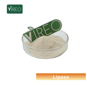 مسحوق/سائل إنزيم الليباز للاستخدام الصناعي - Product Image 2