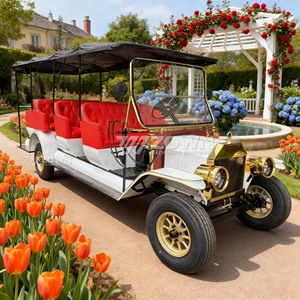 European Style Vintage Electric Classic Car Luxury Retro Sightseeing Vehicle for Resort & Wedding - Product Image 6