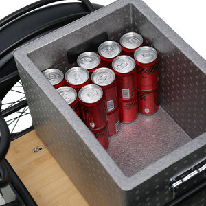 TXED Triciclo Eléctrico Popular con Motor Trasero de Cubo, Neumático Ancho, 500W 48V, Carrocería Cerrada, para Carga, 1 Pasajero, para Alquiler en Campos de Golf y Resorts - Product Image 6