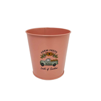 Seau en métal rond personnalisé avec logo Rose Market, vaporisateur de poudre, prix bas, petits pots de fleurs pour la décoration de jardin