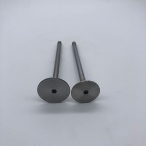 Gran oferta de piezas de motor, válvula de motor de escape de admisión forjada para AUDI C6 3,0 T gasolina CJT C7 3,0 T CRE EA839 3,0 T para Porsche 3,0 T - Product Image 2