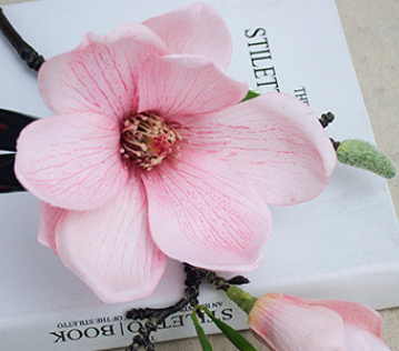 สีชมพูอ่อน