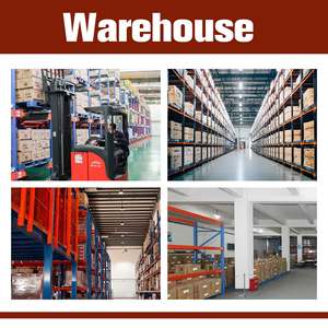 Vitamina B1 Polvo HCL Clorhidrato de tiamina Grado de alimentación VB1 Aditivo de alimentación en polvo para ganado y aves de corral Suplemento de animales - Product Image 5