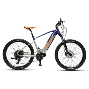 TXED mountain motor 48v 750W electric bicycle suspension disc brake electr bike 9-speed electric mountain bike