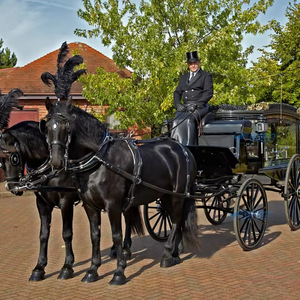 Carroza Fúnebre Negra Tirada por Caballos, Transporte Especial, Venta Directa de Fábrica - Product Image 1