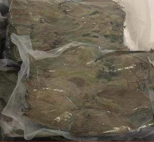 Nueva Colección de Hojas de Guanábana Secas Naturales Deshidratadas, Beneficios para la Salud, Té - Product Image 6