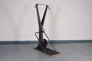 Multifunctional Indoor Simulator Gym <strong>Ski</strong> <strong>Machine</strong> Home Use Wind Resistance Rowers Trainer Aluminium And Steel Material Fan Type