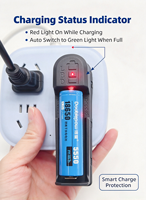Échantillon Gratuit Chargeur de Batterie Li-ion 18650 AC/DC 500MA 4.2V à Emplacement Unique avec Prise US/EU Sortie 2W pour Appareil Photo et Microphone
