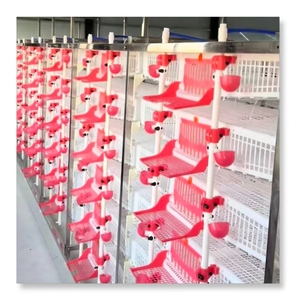 Poulailler automatique moderne à 6 étages en plastique pour cailles, à vendre au Ghana, en Allemagne, au Pérou - Product Image 3