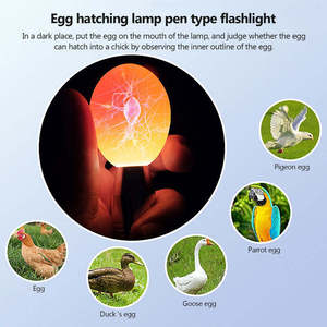 Lampe chauffante LED écologique en alliage d'aluminium de qualité supérieure pour l'incubation et le test des œufs de reptiles - Product Image 3