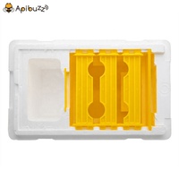 Abeille de grande taille, Mini boîte d'allumettes, noyau en polystyrène, ruche pour abeilles, équipement pour apiculteur, fournitures d'outils pour l'apiculture