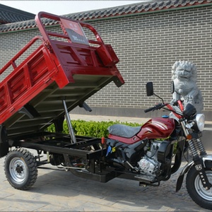 Tricycle à moteur 200 CC à 3 roues avec benne de chargement pour adulte - Meilleures ventes - Product Image 4