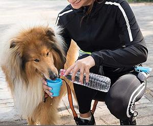<span class=keywords><strong>Wonderful</strong></span>-riñonera deportiva con correa para perro, bolso de cintura - Product Image 6