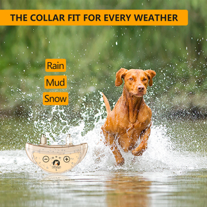 New Gold Slave Electric Shock Outdoor Anti <strong>Barking</strong> Dog Beeper Bark <strong>Stop</strong> Dog Collar <strong>Device</strong> - Product Image 5