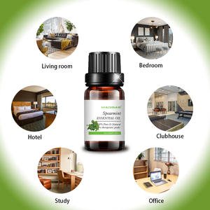 Werkspreis Schlussverkauf weitverbreitet 100 % reines und natürliches Spearmint Ätherisches Öl für Großkauf - Product Image 2