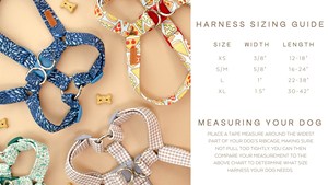 Le Scotty-Harnais - Product Image 2